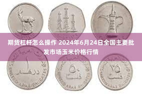 期货杠杆怎么操作 2024年6月24日全国主要批发市场玉米价格行情