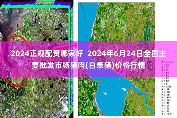 2024正规配资哪家好 2024年6月24日全国主要批发市场猪肉(白条猪)价格行情