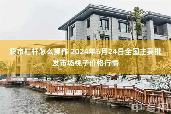 股市杠杆怎么操作 2024年6月24日全国主要批发市场桃子价格行情