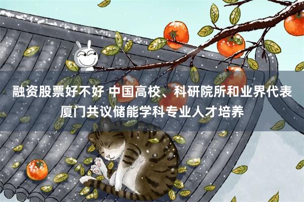 融资股票好不好 中国高校、科研院所和业界代表厦门共议储能学科专业人才培养