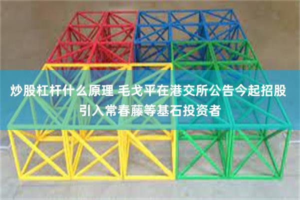 炒股杠杆什么原理 毛戈平在港交所公告今起招股 引入常春藤等基石投资者