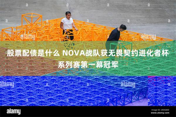 股票配债是什么 NOVA战队获无畏契约进化者杯系列赛第一幕冠军