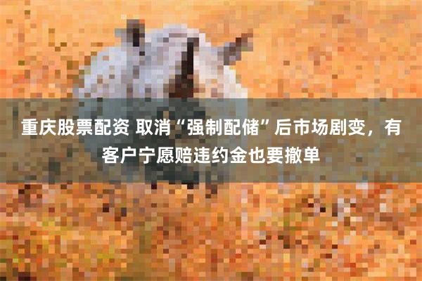 重庆股票配资 取消“强制配储”后市场剧变，有客户宁愿赔违约金也要撤单