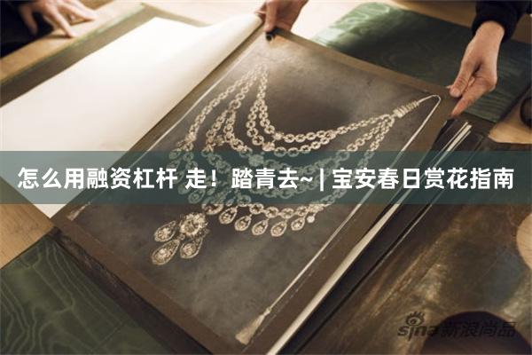 怎么用融资杠杆 走！踏青去~ | 宝安春日赏花指南