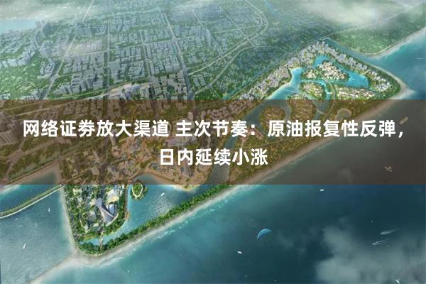 网络证劵放大渠道 主次节奏：原油报复性反弹，日内延续小涨
