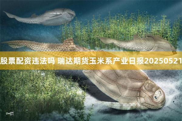 股票配资违法吗 瑞达期货玉米系产业日报20250521