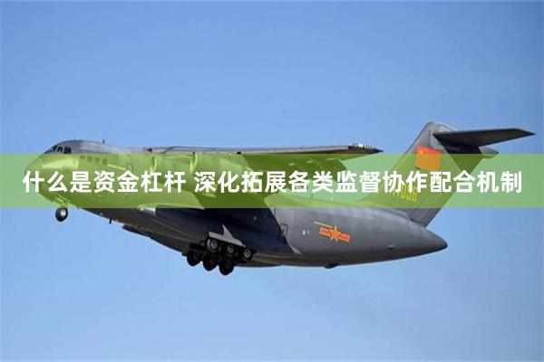 什么是资金杠杆 深化拓展各类监督协作配合机制