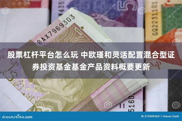 股票杠杆平台怎么玩 中欧瑾和灵活配置混合型证券投资基金基金产品资料概要更新