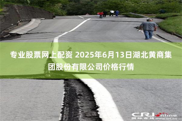 专业股票网上配资 2025年6月13日湖北黄商集团股份有限公司价格行情
