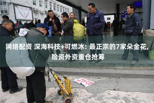 网络配资 深海科技+可燃冰: 最正宗的7家朵金花, 险资外资重仓抢筹