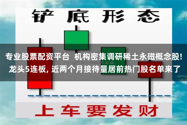 专业股票配资平台  机构密集调研稀土永磁概念股! 龙头5连板, 近两个月接待量居前热门股名单来了