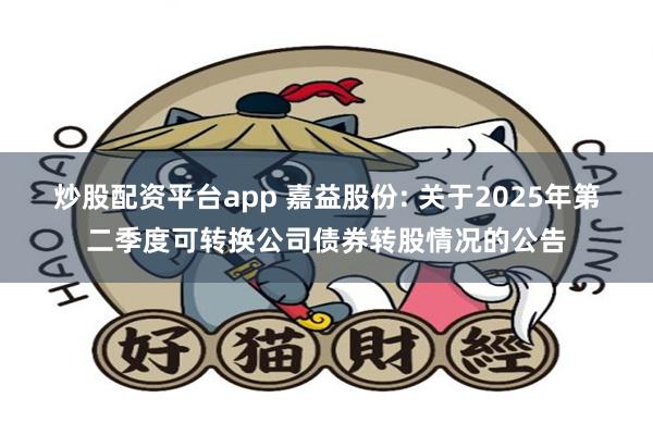炒股配资平台app 嘉益股份: 关于2025年第二季度可转换公司债券转股情况的公告