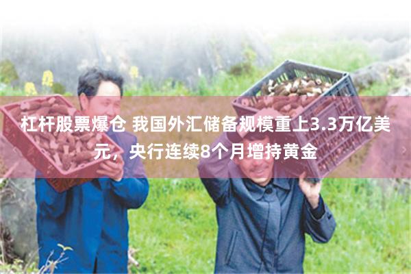杠杆股票爆仓 我国外汇储备规模重上3.3万亿美元，央行连续8个月增持黄金