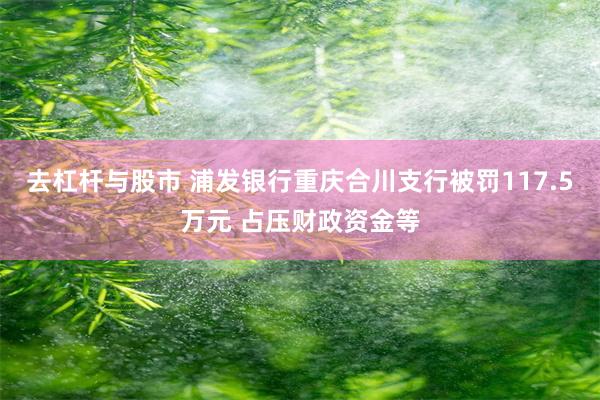 去杠杆与股市 浦发银行重庆合川支行被罚117.5万元 占压财政资金等