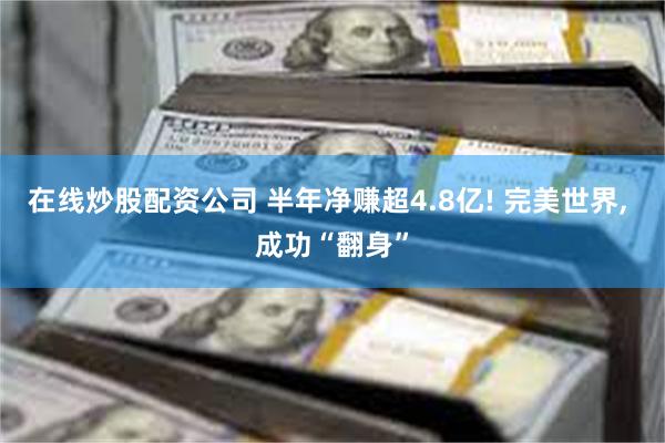 在线炒股配资公司 半年净赚超4.8亿! 完美世界, 成功“翻身”